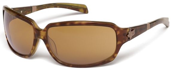 The Intro in Brown Tortoise / Bronze